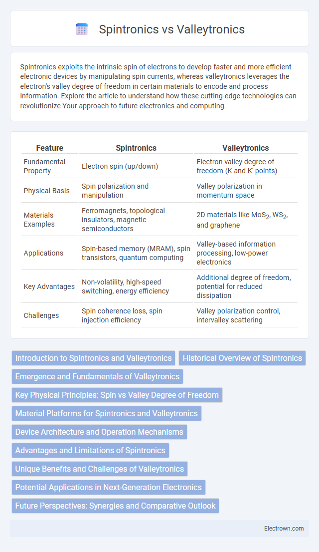 Spintronics vs Valleytronics in Nanoelectronics - What is The Difference?