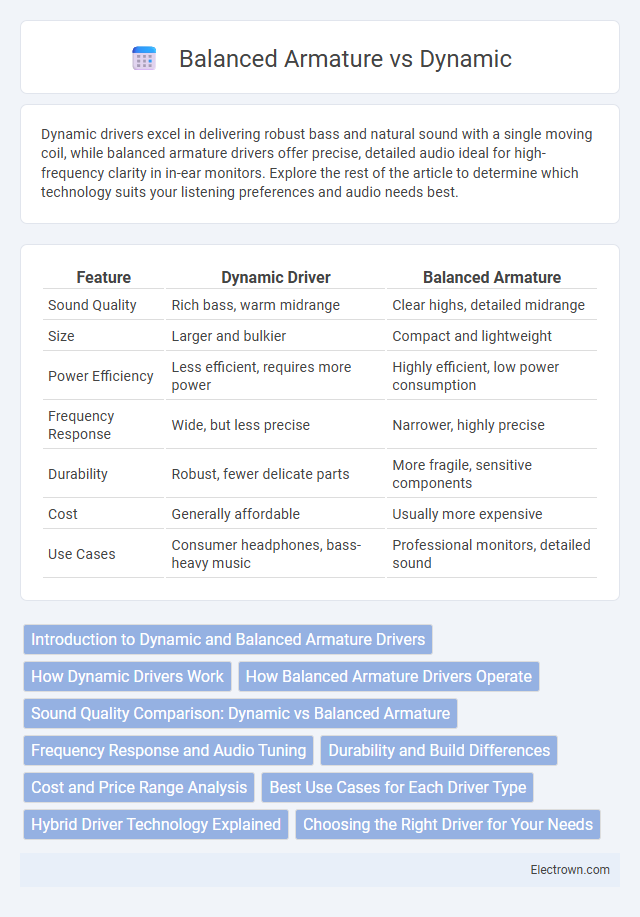 Balanced Armature vs Dynamic in Audio Electronics - What is The Difference?