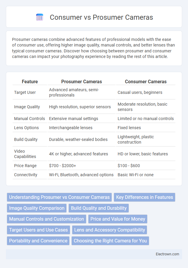 Consumer vs Prosumer Cameras in Consumer Electronics - What is The Difference?
