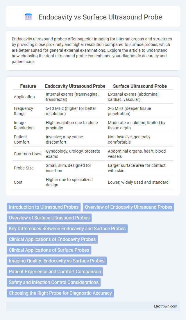 Endocavity vs Surface Ultrasound Probe in Biomedical Electronics - What is The Difference?