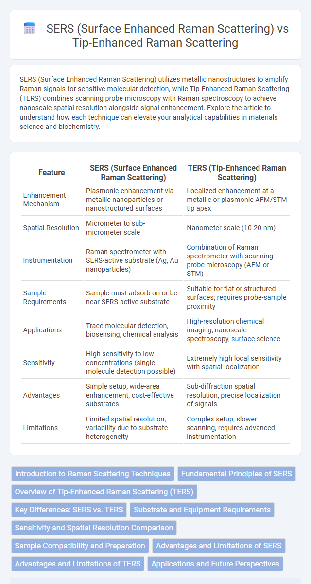 SERS (Surface Enhanced Raman Scattering) vs Tip-Enhanced Raman Scattering in Nanoelectronics - What is The Difference?