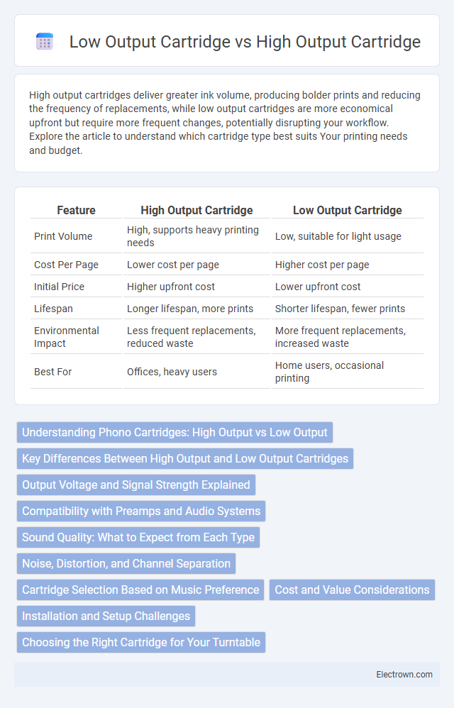 Low Output Cartridge vs High Output Cartridge in Audio Electronics - What is The Difference?