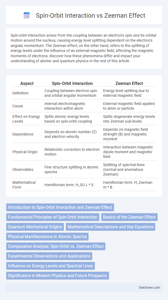 Spin-Orbit Interaction vs Zeeman Effect in Quantum Electronics - What is The Difference?