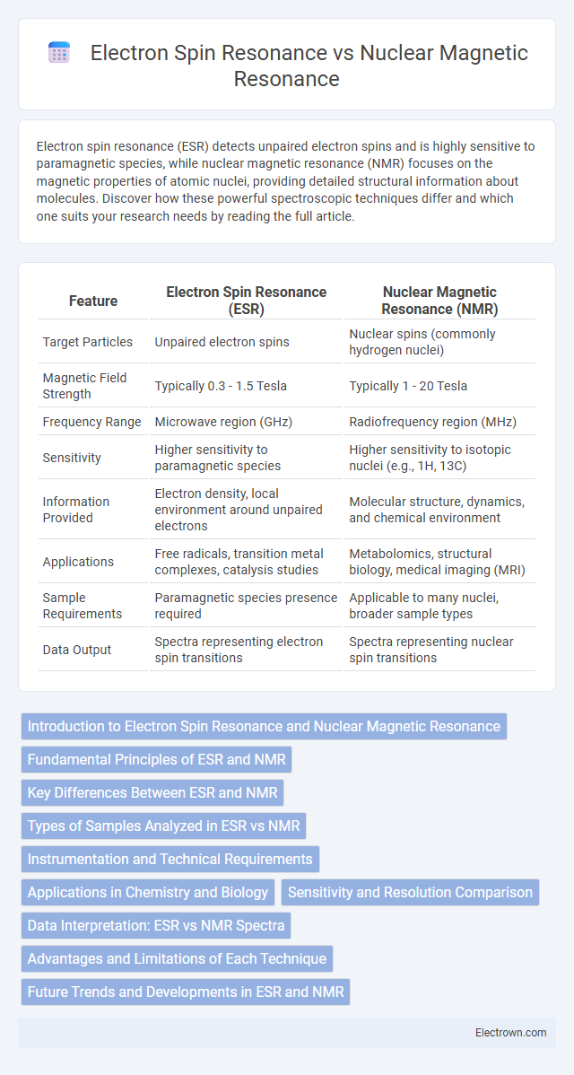 Electron Spin Resonance vs Nuclear Magnetic Resonance in Quantum Electronics - What is The Difference?