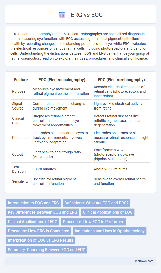 ERG vs EOG in Biomedical Electronics - What is The Difference?