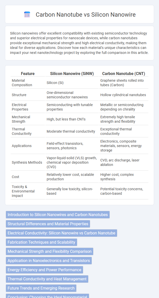 Carbon Nanotube vs Silicon Nanowire in Nanoelectronics - What is The Difference?