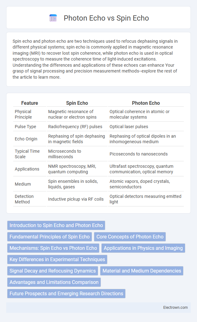 Photon Echo vs Spin Echo in Quantum Electronics - What is The Difference?