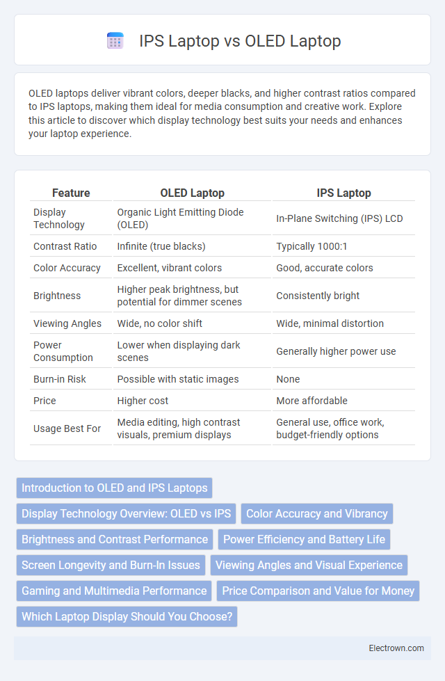 IPS Laptop vs OLED Laptop in Consumer Electronics - What is The Difference?