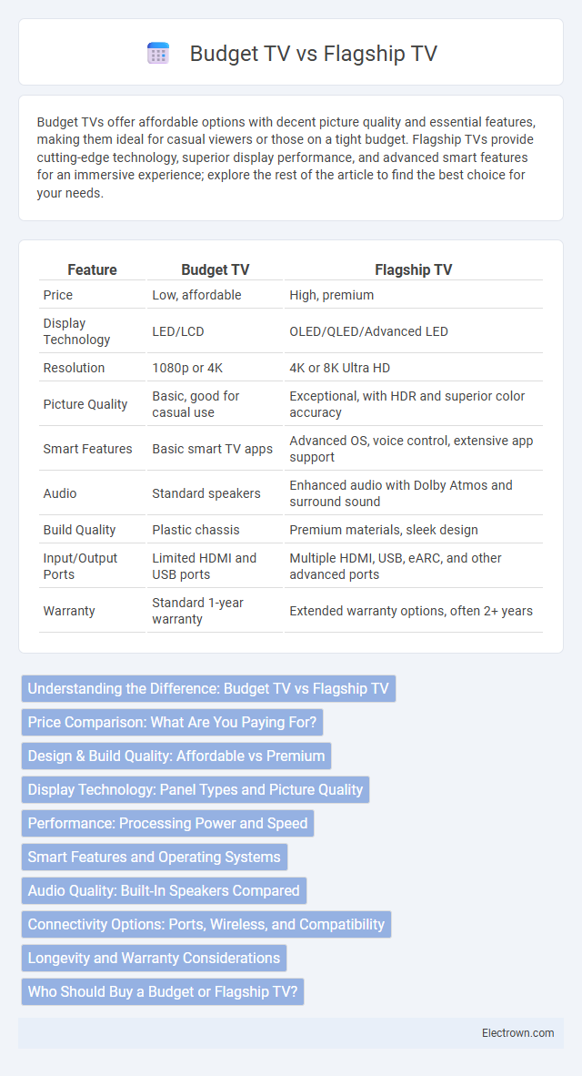 Budget TV vs Flagship TV in Consumer Electronics - What is The Difference?