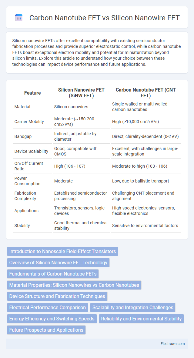 Carbon Nanotube FET vs Silicon Nanowire FET in Nanoelectronics - What is The Difference?