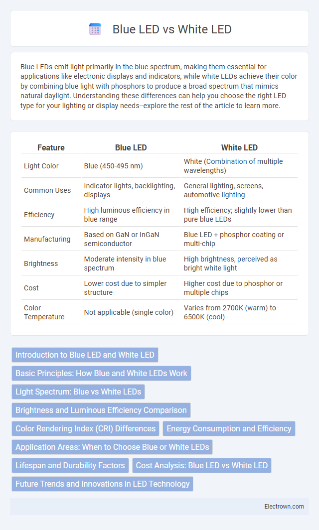 Blue LED vs White LED in Optoelectronics - What is The Difference?