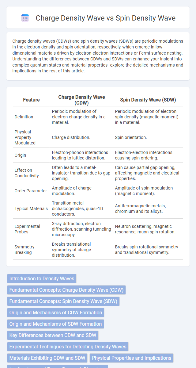 Charge Density Wave vs Spin Density Wave in Nanoelectronics - What is The Difference?