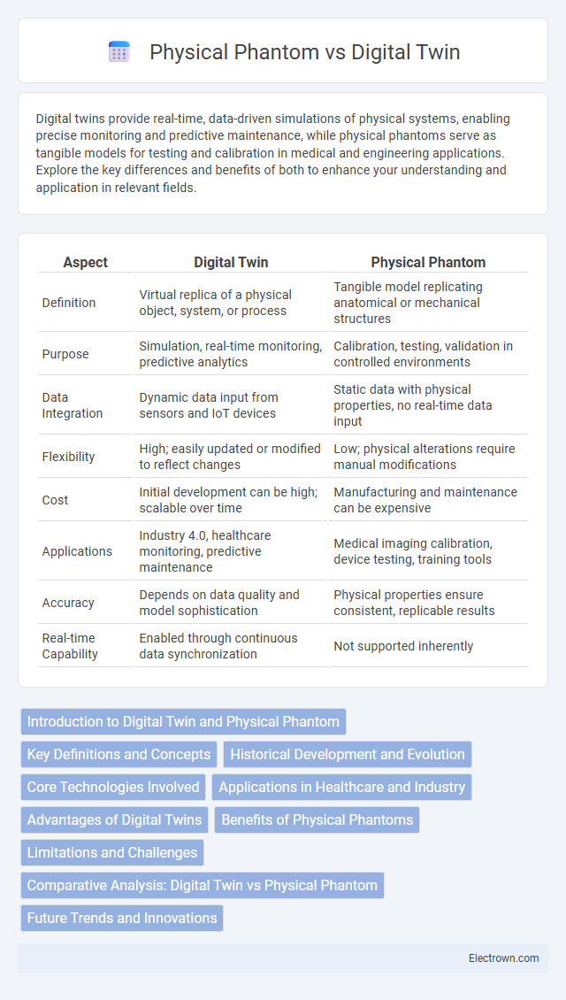 Physical Phantom vs Digital Twin in Biomedical Electronics - What is The Difference?
